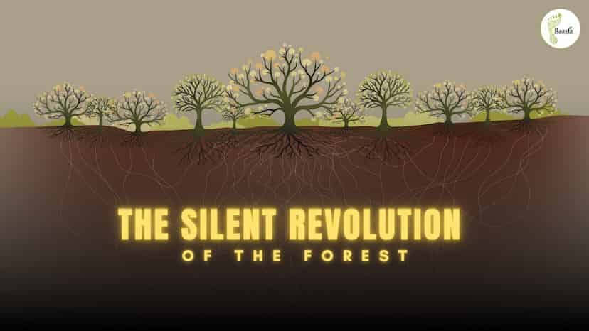 The Forest Internet: What Mycorrhizal Networks Teach Us About Farming, Capitalism, and Connection