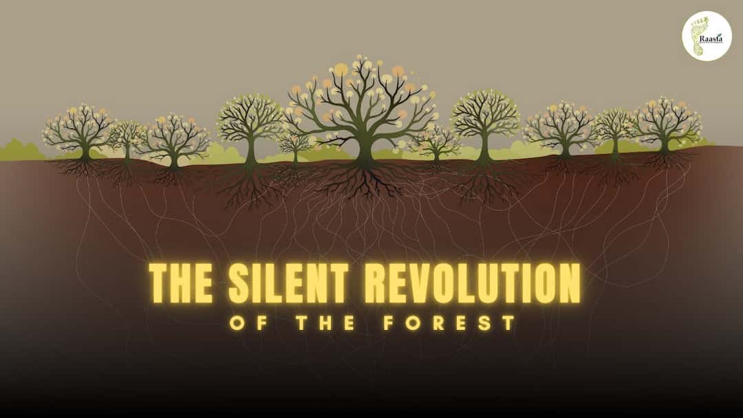 The Silent Revolution of the Forest